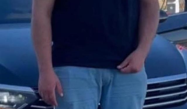 Yola çıkan çocukları yakalamak isterken otomobil çarptı, öldü