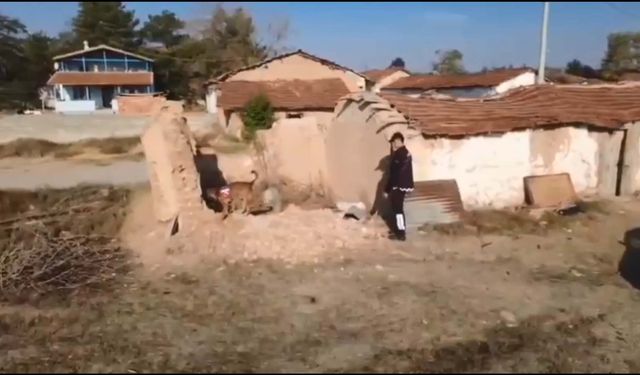 14 yıl önce ağabeyini öldürüp gömen şüpheli, adliyede