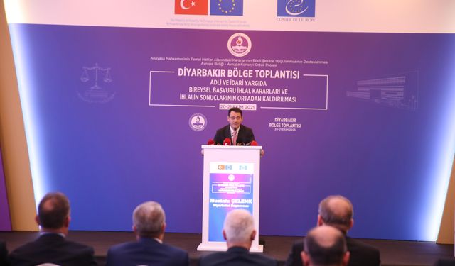 AYM Başkanı Özkaya: Anayasa Mahkemesi'ne 13 yılda 702 bin 53 bireysel başvuru yapıldı