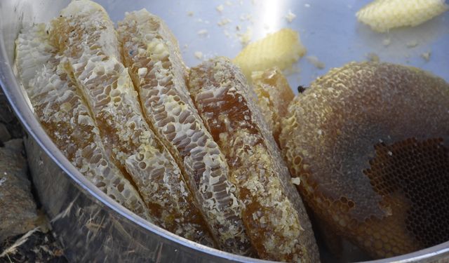 Bitlis Valisi Ahmet Karakaya, kara kovan bal hasadı yaptı