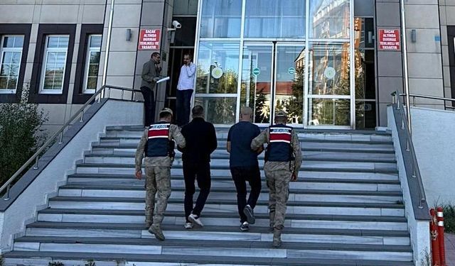 Bitlis'te 2 kaçak göçmen yakalandı, 2 organizatör tutuklandı