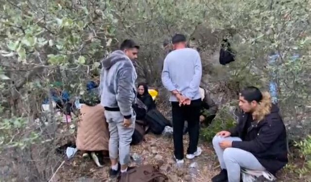 Bodrum'da 21 kaçak göçmen kurtarıldı, 33 kaçak göçmen yakalandı