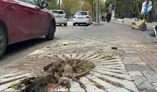 Bursa'da lodos etkili oldu; ağaçlar devrildi, çatılar uçtu
