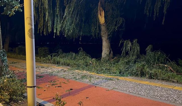 Bursa'da lodos hayatı olumsuz etkiledi; ağaçlar devrildi, çatılar uçtu (4)