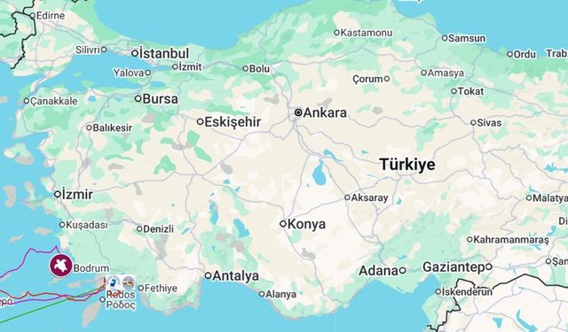 Caretta caretta 'Tuba', iki ayda 7 bin 500 kilometre katetti