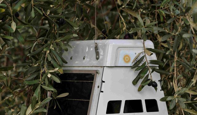 Cargill'in '1000 Çiftçi 1000 Bereket' programı yedinci yılında