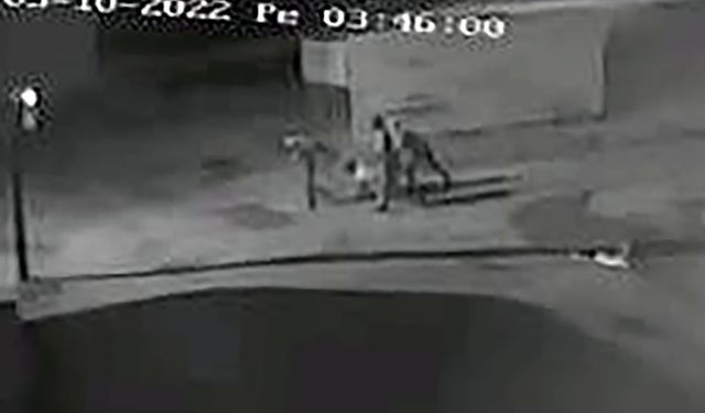 Çelik kasa hırsızı, iç çamaşırından alınan DNA eşleştirmesiyle yakalandı