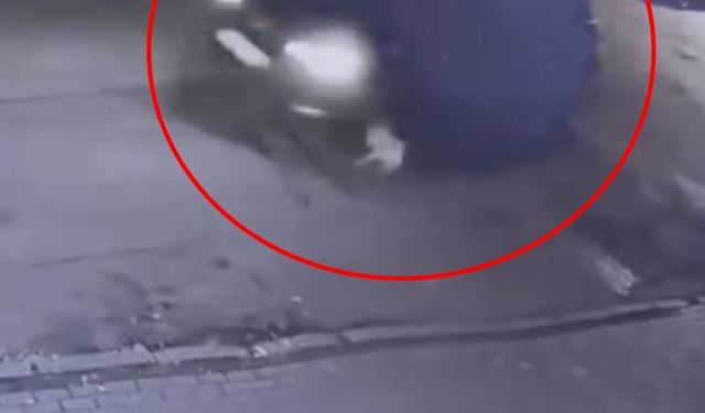 Cipiyle, sahibinin gezdirmeye çıkardığı köpeğe çarpıp kaçtı; o anlar kamerada