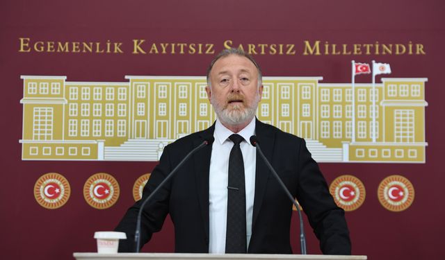 DEM Parti'li Temelli: Umarım en yakın zamanda heyet oluşur ve İmralı Adası'na gider