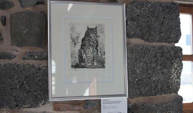 Diyarbakır Kültür Yolu Festivali'nde ‘Picasso' sergisi ilgi gördü; müzelere ziyaretçi sayısı arttı / Ek fotoğraflar