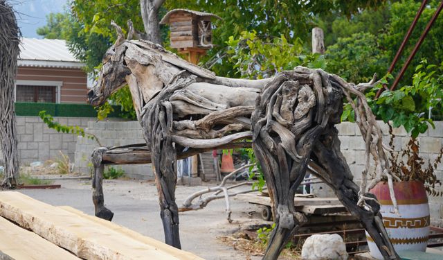 Doğanın atıklarını sanata dönüştürüyor