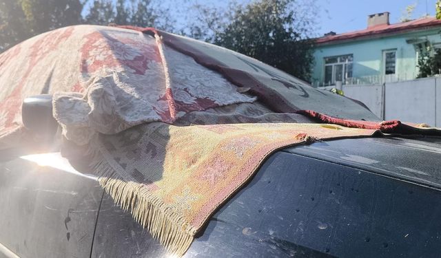 Doğu'da sıcaklıklar sıfırın altında; Palandöken'de kar sürprizi