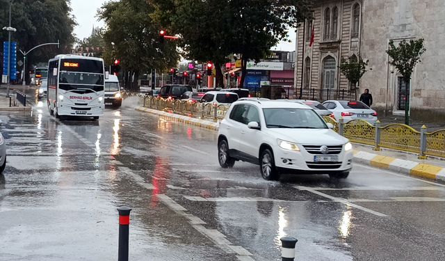 Edirne'de kuvvetli yağış sırasında ağaç yola devrildi