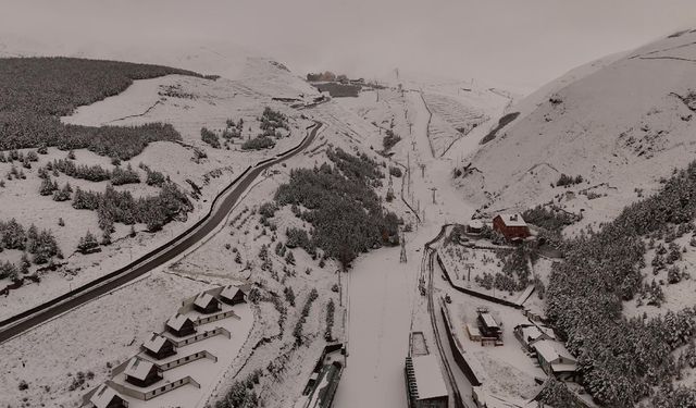 Erzurum'da kar yağdı (2)