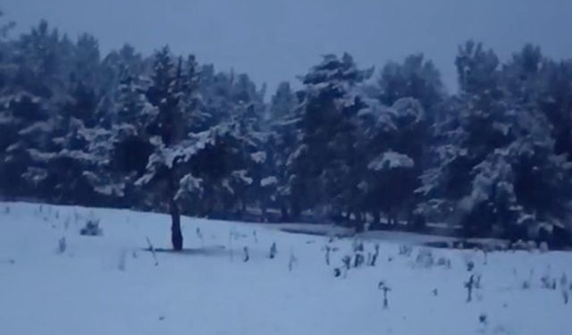 Erzurum'da kar yağdı