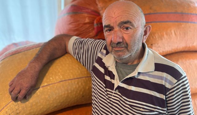 Fiyatın yükselmesini bekleyen üretici fındığını evinde bekletiyor