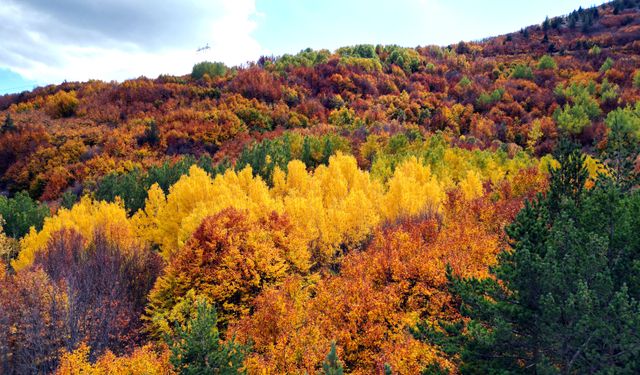 Geminbeli Geçidi'nde sonbahar renkleri