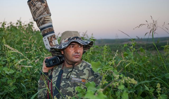 İncir kuşu DHA muhabirinin objektifine takıldı, Diyarbakır da görülme haritasına eklendi