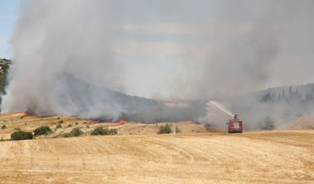 İpsala Kaymakamlığı'ndan anız yakanlara uyarı: Ceza kesmekten yorulduk