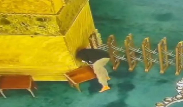 İstanbul - Ayasofya Camisi'ne kundaklama girişiminde bulunan şüpheliye 13 yıla kadar hapis talebi