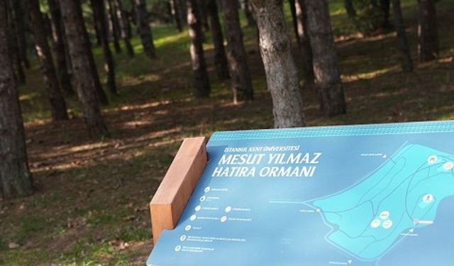 İstanbul Kent Üniversitesi öğrencileri fidan dikimi gerçekleştirdi