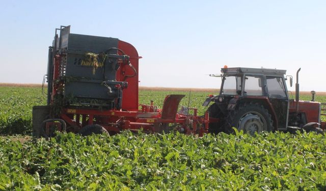 Kayseri'de şeker pancarı hasadı başladı / Ek fotoğraflar
