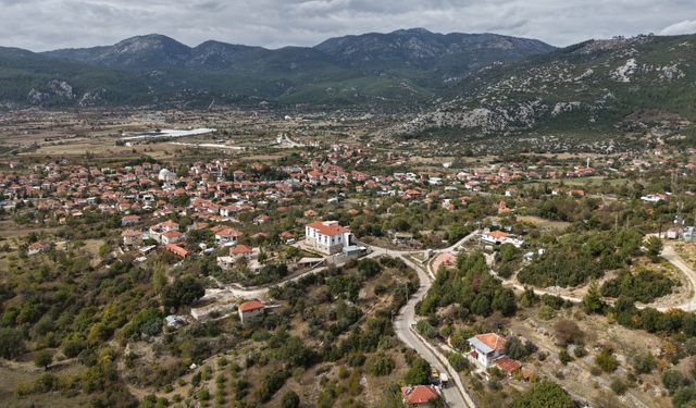 Köylü kadınlardan Avrupa'ya 1 milyon Noel çelengi