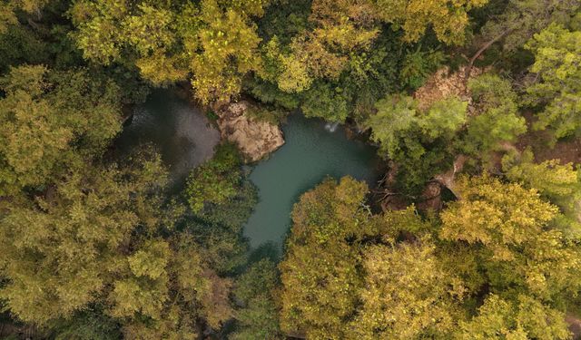 Kurşunlu Şelalesi'nde sonbahar