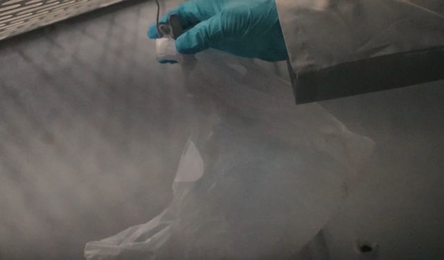 Mağarada bulunan ceset 10 yıldır aranan Gülizar'a ait çıktı, cinayet şüphelisi DNA ile tespit edildi