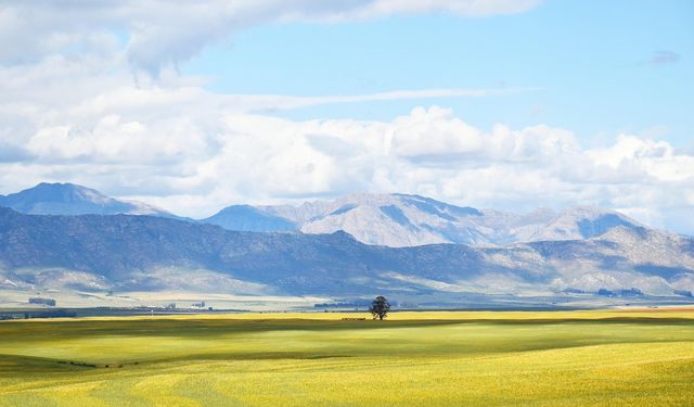 'Magmatik kayaçlardan oluşan zeminler deprem etkisini sınırlıyor'
