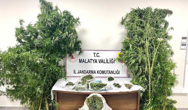 Malatya'da uyuşturucu operasyonu; 5 tutuklama