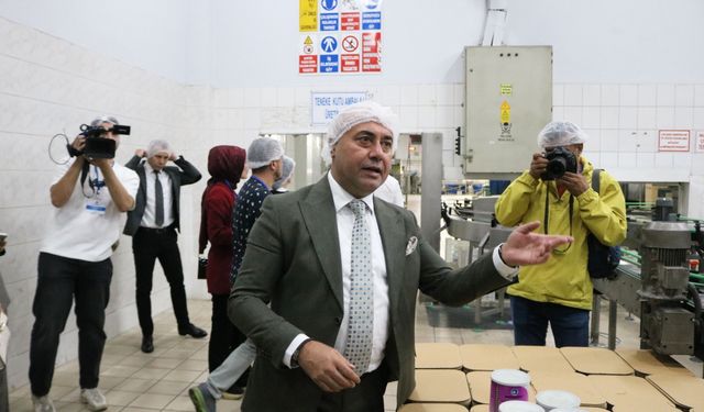 Marmarabirlik, zeytinyağı ile çikolata üretecek