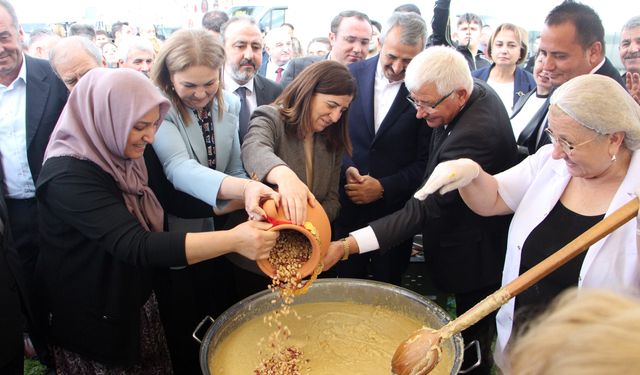 Meriç'te 'Fıstık Festivali' başladı