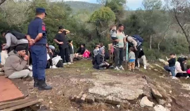 Milas'ta 74 kaçak göçmen yakalandı