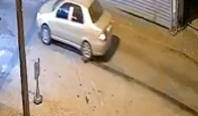 Muğla'da otomobilin altında sürüklenen oklu kirpi öldü / Ek fotoğraflar