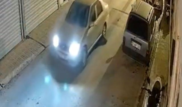 Muğla'da otomobilin altında sürüklenen oklu kirpi öldü