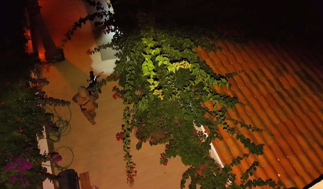 Muğla'nın Bodrum ilçesi merkezli 4 ilde göçmen kaçakçılığı operasyonunda 13 tutuklama