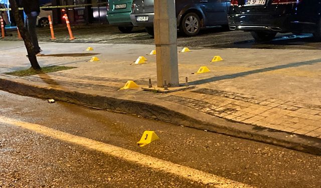 Ordu'da oto galeri dükkanına silahlı saldırı: 2 yaralı