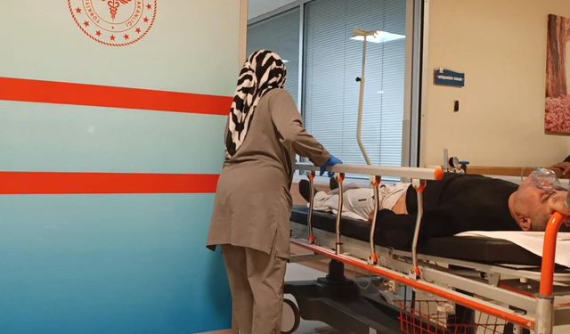 Ormandan toplayıp yediği mantardan zehirlendi