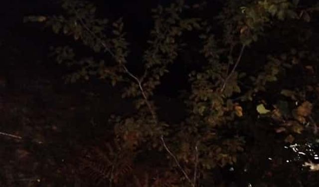 Ot biçen baba- oğul uçuruma düştü; polis memuru oğul öldü, baba yaralandı