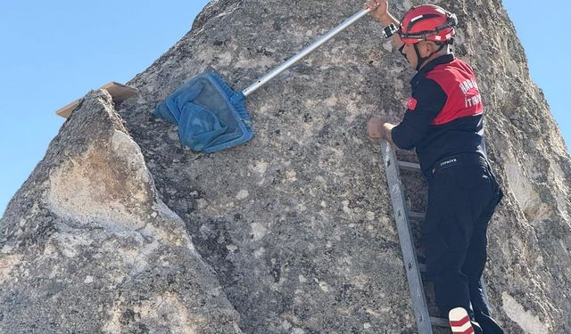 Peribacasında mahsur kalan kediyi itfaiye kurtardı