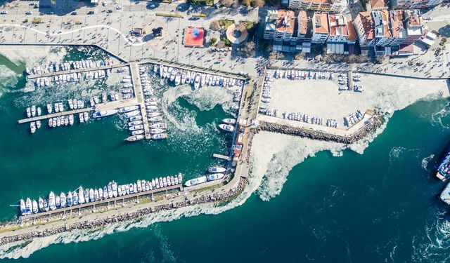 'Planktonla beslenen balıkların stok yoğunluğu kontrol edilmeli' / Video eklendi
