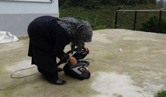 Prof. Dr. Özlü'den 'kahverengi kokarca'ya temas uyarısı