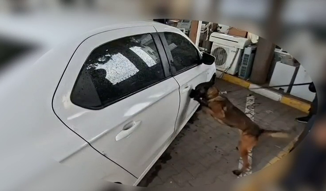 Sakarya'da uyuşturucu operasyonu: 2 tutuklama