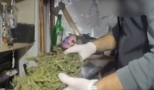 Sakarya'da uyuşturucu operasyonunda 10 gözaltı