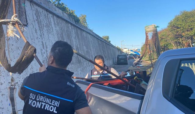 Samsun'da, kaçak yolla avlanan yaklaşık 1 ton kum şırlanı ele geçirildi