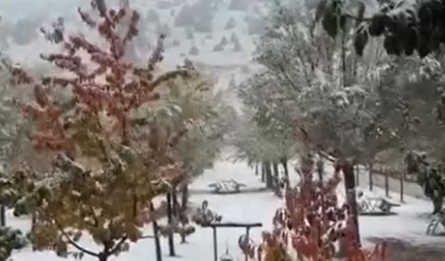 Sivas'ta yüksek kesimlere kar yağdı