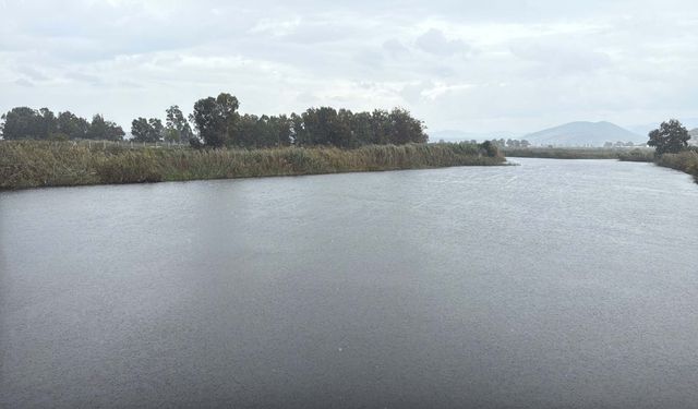 Suyu 50 metre çekilen Bafa Gölü'ne Büyük Menderes Nehri hayat verecek