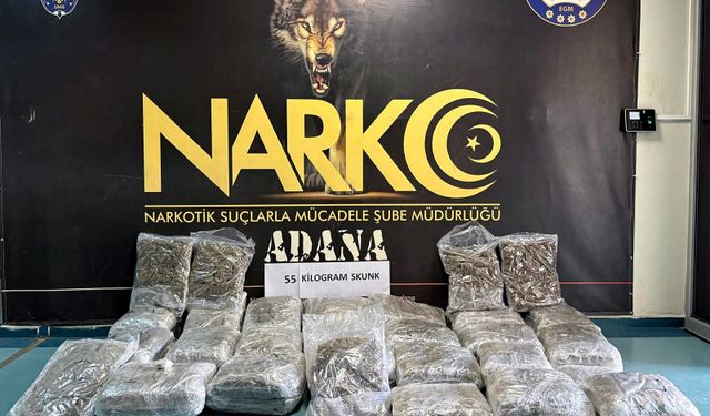 TIR'daki valizlerden 55 kilo skunk çıktı; ‘Arkadaşım rica etti' dedi