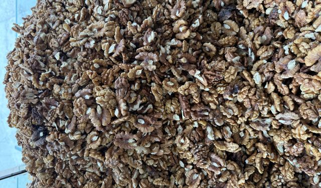 Tokat'ta cevizi zirai don vurdu: 2 bin 400 tonluk rekolte 25 tona düştü